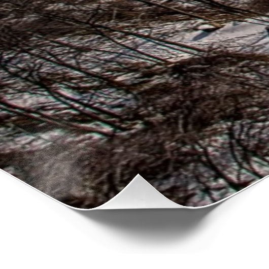 Poster Pont du mont Bear (Coin)