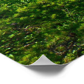 Poster Pont du New River Gorge I (Coin)