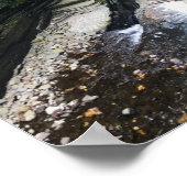 Poster pont du parc national robert h. treman (Coin)