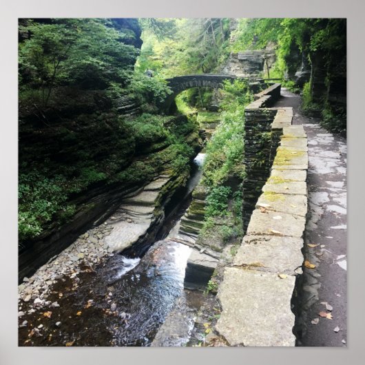 Poster pont du parc national robert h. treman (Devant)