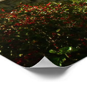 Poster Pont en Automne, Central Park, NYC, Moyen (Coin)