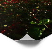 Poster Pont en Automne, Central Park, NYC, Toutes les tai (Coin)