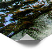Poster Pont Felida HDR2 (Coin)