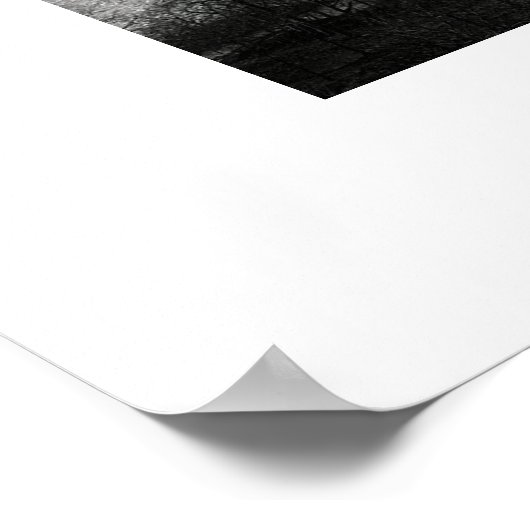 Poster Pont George Washington (Coin)