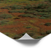 Poster Pont Golden Gate (Coin)