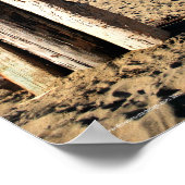 Poster Pont Golden Gate (Coin)