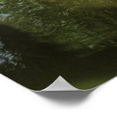 Poster Pont - Le Jardin chinois (Coin)