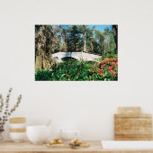 Poster Pont Magnolia (Cuisine)