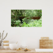 Poster Pont Muir Woods I (Cuisine)