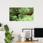 Poster Pont Muir Woods I (Bureau à domicile)