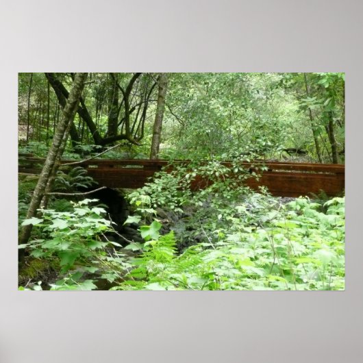 Poster Pont Muir Woods I (Devant)