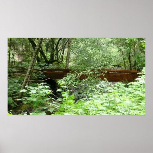 Poster Pont Muir Woods I (Devant)