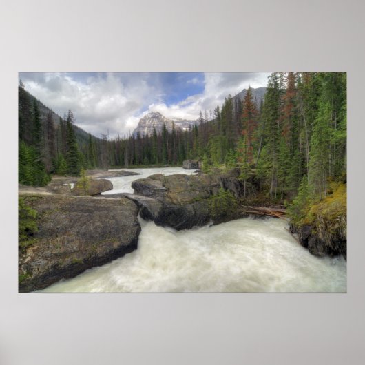 Poster Pont naturel (Devant)