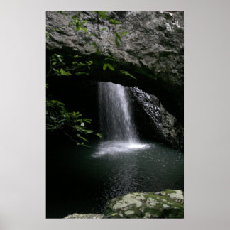Poster Pont naturel
