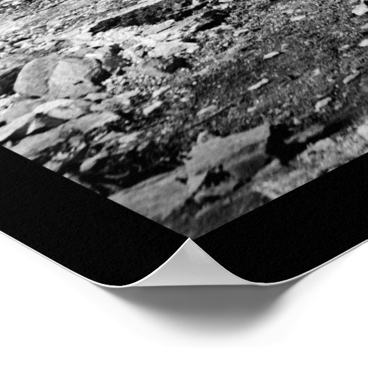 Poster Pont où le général Longstreet a reculé 1864 (Coin)