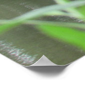 Poster Pont pieds en bois (Coin)