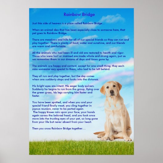 Poster Pont Rainbow (Devant)