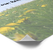 Poster Pont Rainbow (Coin)