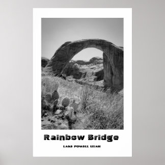 Poster Pont Rainbow
