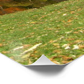 Poster Pont Rainbow à l'automne au Grove City College (Coin)