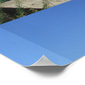 Poster Pont Roosevelt Lake Arch (Coin)