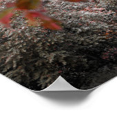 Poster Pont Rustique Avec De Beaux Arbres Paysage Photo (Coin)