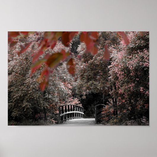 Poster Pont Rustique Avec De Beaux Arbres Paysage Photo (Devant)