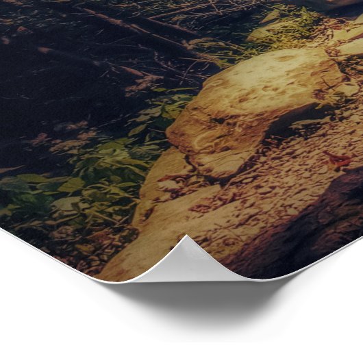 Poster Pont rustique dans la forêt nationale de Shenandoa (Coin)