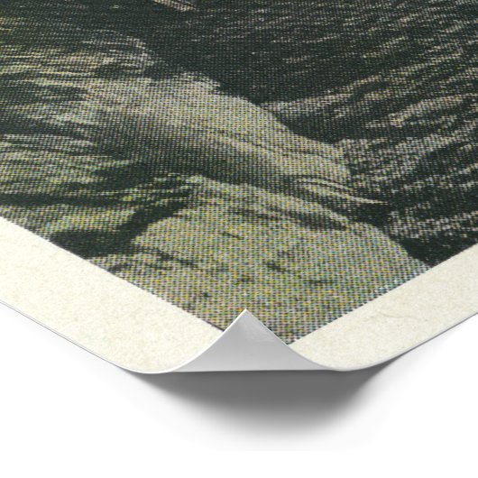 Poster Pont sous la vue Balance Rock (Coin)