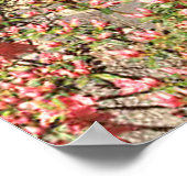 Poster Pont Spring (Coin)