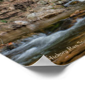 Poster Pont sur Hicky Run (Coin)