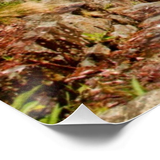 Poster Pont sur la rivière (Coin)