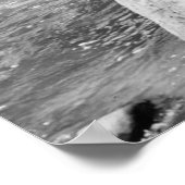 Poster Pont Swann (Coin)