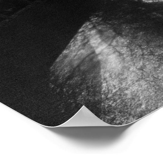 Poster Pont Tyne la nuit (Coin)