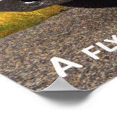 Poster Pontiac GTO 1967 (Coin)