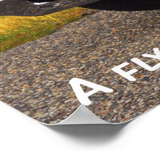 Poster Pontiac GTO 1967 (Coin)