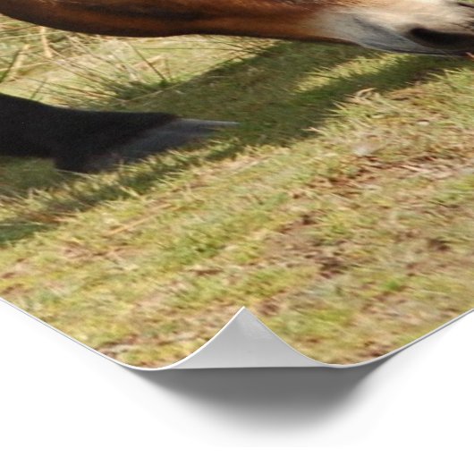 Poster Ponts d'exploration (Coin)