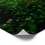 Poster Pony 2 de Shetland (Coin)