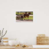 Poster Pony Cart Amish (Cuisine)