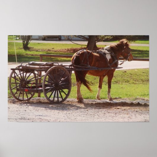 Poster Pony Cart Amish (Devant)