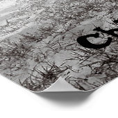 Poster Pony de Chincoteague (Coin)