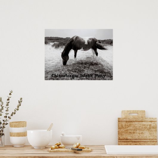 Poster Pony de Chincoteague (Cuisine)