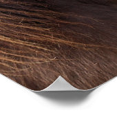 Poster Pony Exmoor (Coin)