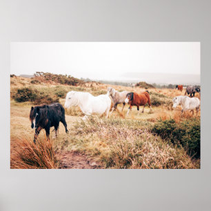 POSTER PONY HERD DANS L'AUTOMNE