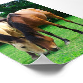 Poster Pony Love (Coin)