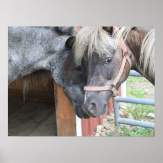 Poster Pony Nuzzle