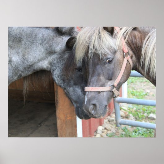 Poster Pony Nuzzle (Devant)