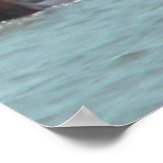 Poster Pony Swim 2010, Chincoteague Island, VA (Coin)