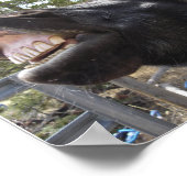 Poster Pony Talk (Coin)