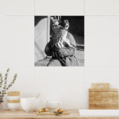 Poster Pooch patriotique, début des années 1900 (Cuisine)